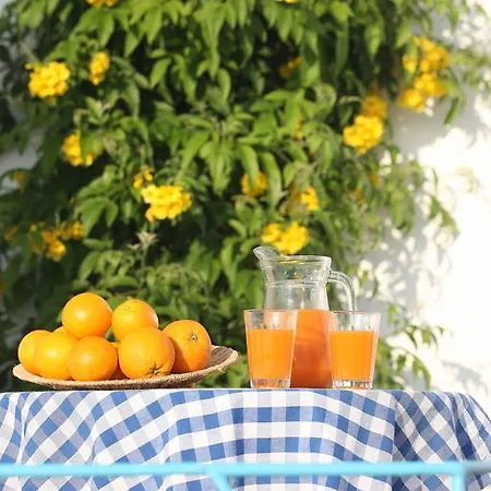 Monte Cortelhas 4* Guia (Faro)